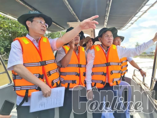 Đảm bảo chất lượng, an toàn, hiệu quả công trình kè chống sạt lở bờ sông