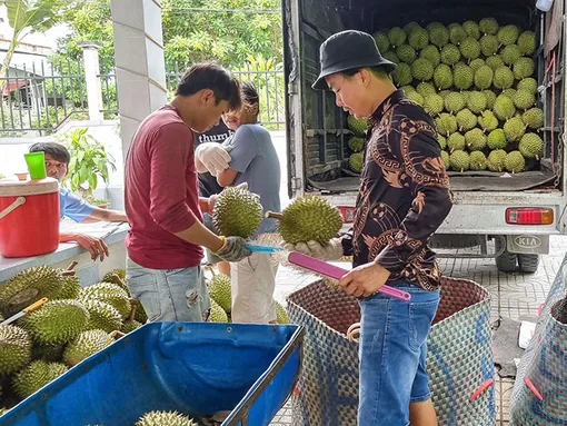 Kim ngạch xuất khẩu rau quả tăng mạnh