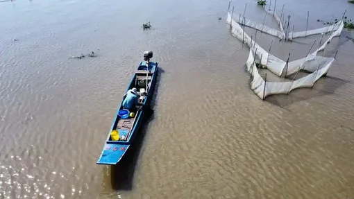 Mưu sinh mùa "đói lũ" ở đồng bằng