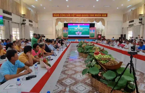 Phát huy giá trị cộng đồng của Hội quán