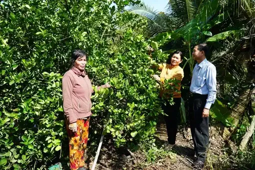 Đảng vì dân, trên dưới đồng lòng