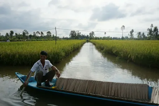 Ngành tôm và thách thức từ nguồn phát thải