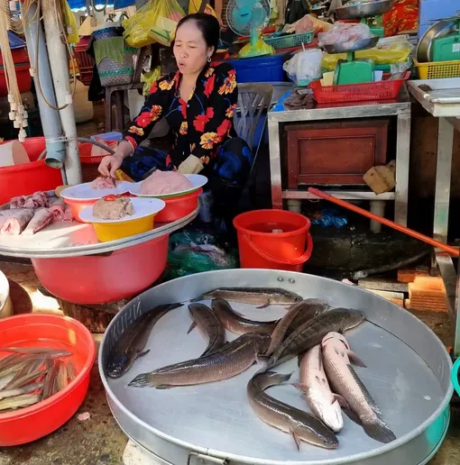 Giá cá lóc giảm, giá cá tra ở mức thấp