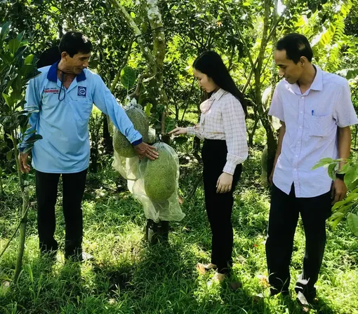 Xã Đông Hiệp tích cực hỗ trợ nhân dân phát triển kinh tế