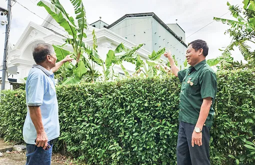 Làm giàu từ nuôi yến