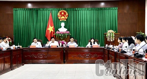 Thẩm tra các báo cáo, dự thảo nghị quyết