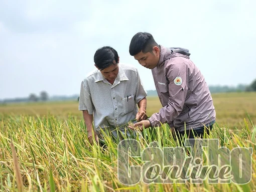 Tìm hướng xúc tiến xuất khẩu xanh