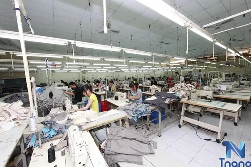 Xưởng may Tnano - Nơi may đồng phục, in áo thun công sở uy tín nhất tại TPHCM