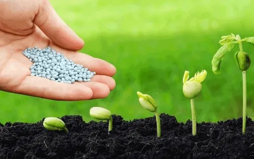 Giá phân đạm giảm