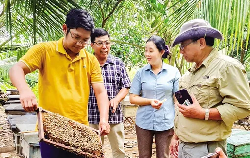 Hiệu quả mô hình sinh kế thích ứng biến đổi khí hậu ở ÐBSCL