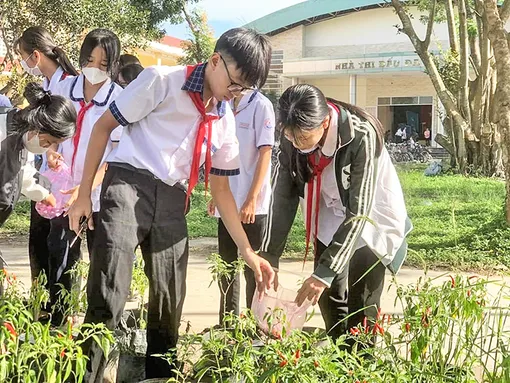 Trải nghiệm trong học tập