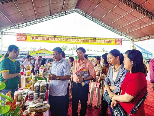 Kết nối cung cầu giữa nhà sản xuất và nhà phân phối