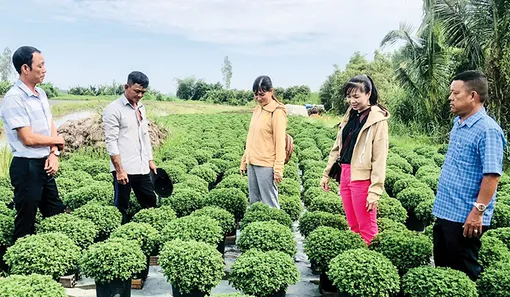 Điểm tựa của người nghèo