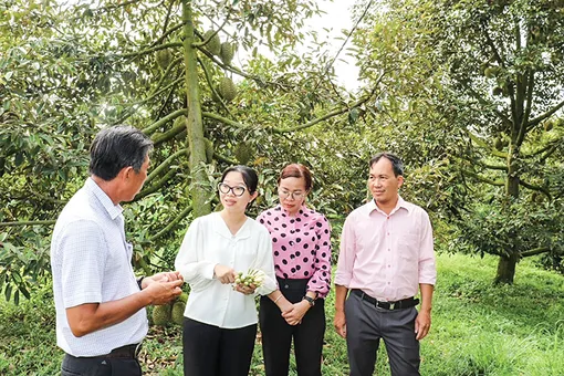 Huyện Thới Lai nỗ lực hoàn thành nhiệm vụ