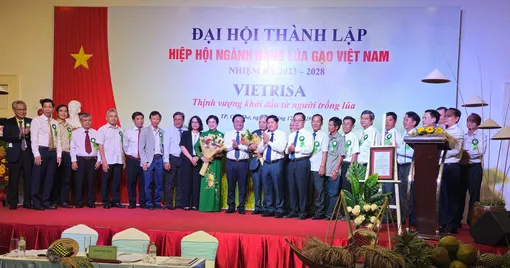 Thành lập Hiệp hội ngành hàng lúa gạo Việt Nam
