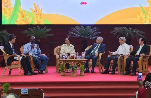 Thúc đẩy hợp tác giữa Việt Nam và một số quốc gia châu Phi trong phát triển ngành hàng lúa gạo