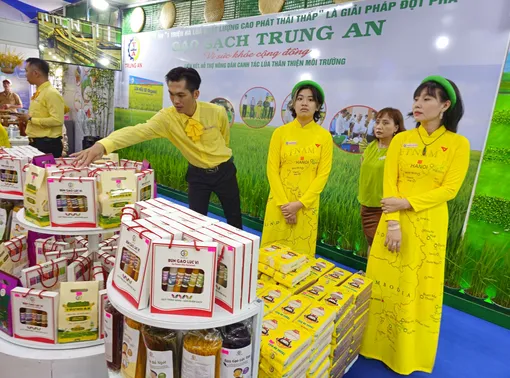 Khai mạc Festival Quốc tế ngành lúa gạo Việt Nam - Hậu Giang năm 2023