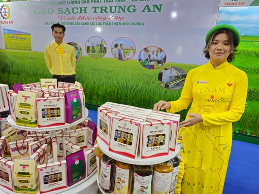 Phát triển chuỗi giá trị lúa gạo Việt Nam theo hướng trách nhiệm và bền vững