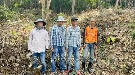 Bắt 4 đối tượng chặt phá rừng ở Phú Quốc