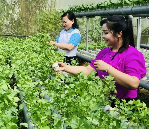 Hành trang cho con vào đời