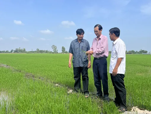 Năng động làm kinh tế nông nghiệp
