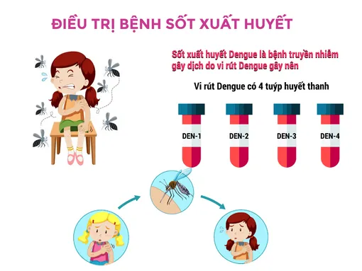 [INFOGRAPHIC] Điều trị bệnh sốt xuất huyết