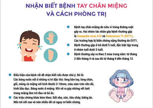 [INFOGRAPHIC] Nhận biết bệnh tay chân miệng và cách phòng trị