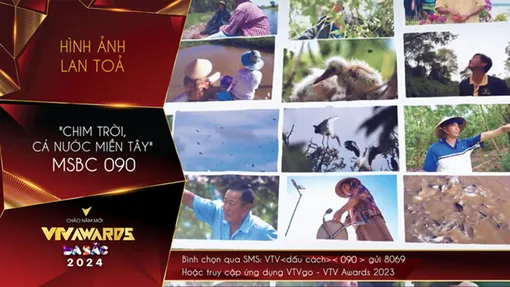 Những hình ảnh lan tỏa