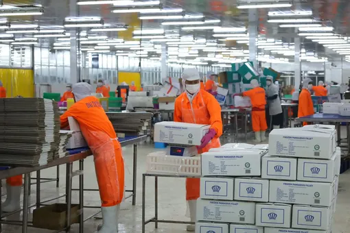 Các công ty chế biến, xuất khẩu thủy sản nỗ lực duy trì hoạt động sản xuất kinh doanh