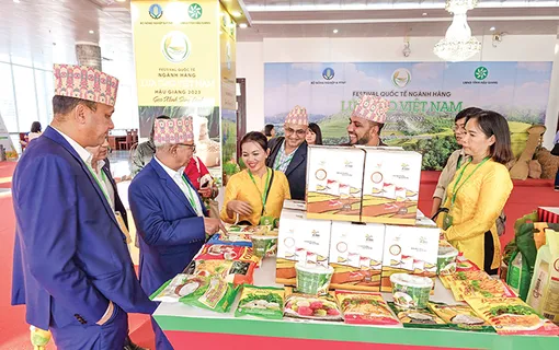 Đổi mới sáng tạo ngành hàng lúa gạo