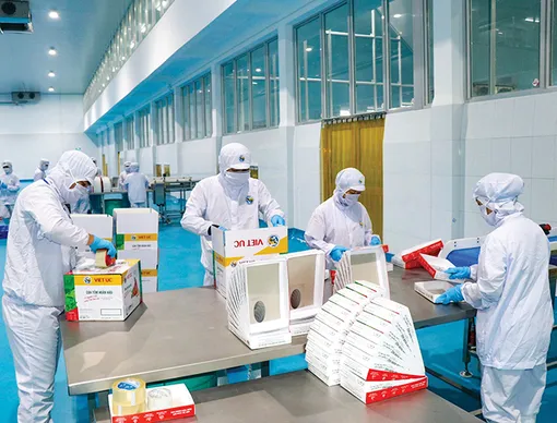 Bạc Liêu hướng đến xuất khẩu tôm đạt 1,3 tỉ USD