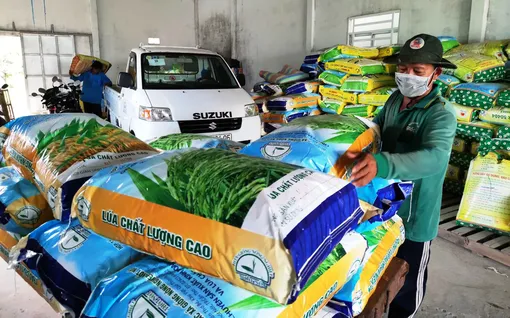 Phát triển bền vững ngành hàng giống cây trồng Việt Nam