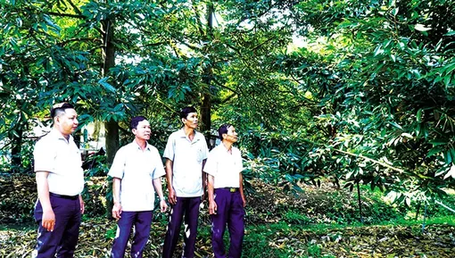 Phát huy vai trò hạt nhân ở khu dân cư