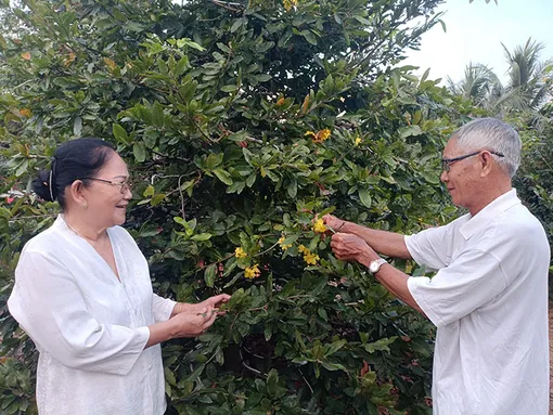 Cách sống tình nghĩa của vợ chồng ông Năm Nhự