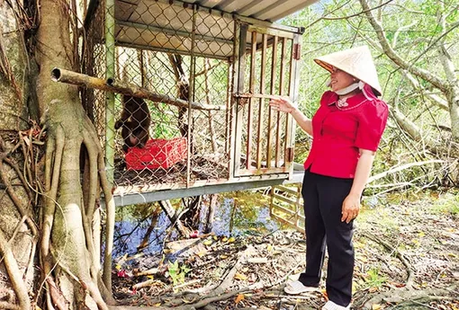 Bảo tồn động vật hoang dã ở Vườn quốc gia U Minh Thượng