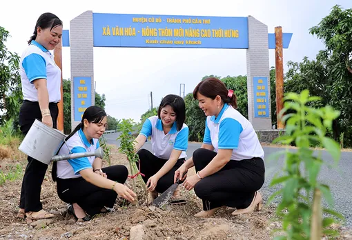 Nhiều mô hình, phần việc góp phần bảo vệ môi trường