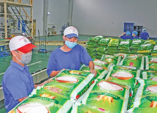 Thay đổi tư duy, thay đổi tầm nhìn để gạo Việt Nam phát triển bền vững