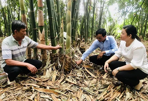 Khen thưởng 50 mô hình “Dân vận khéo”