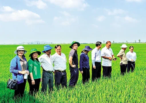 Tín dụng nông nghiệp góp phần phát triển kinh tế ÐBSCL