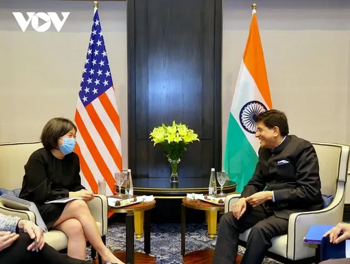 Ấn Độ, Mỹ tìm cách tăng cường hợp tác về các khoáng sản quan trọng