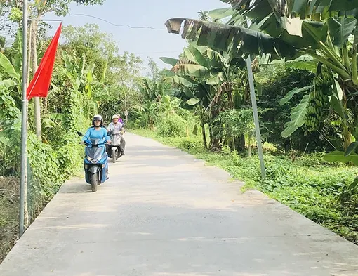 390 mô hình, công trình, phần việc thực hiện cuộc vận động “Toàn dân đoàn kết xây dựng nông thôn mới, đô thị văn minh”