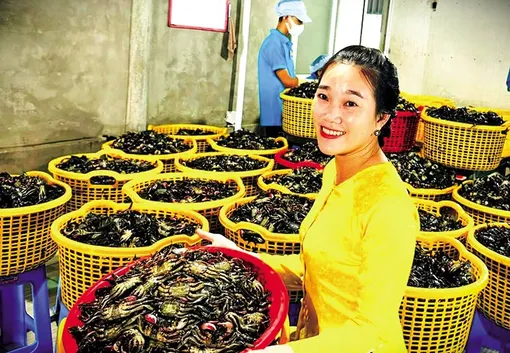 “Gắn sao” để đặc sản vươn xa