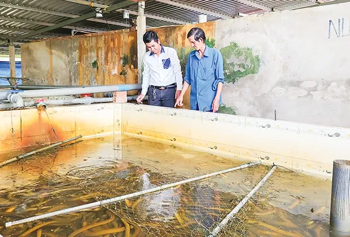 Cái Răng trợ lực phát triển kinh tế hợp tác