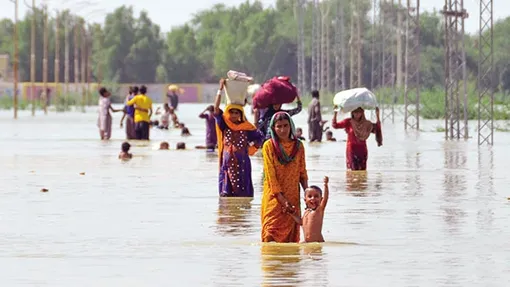 Biến đổi khí hậu có thể gây thêm 14,5 triệu ca tử vong tính đến năm 2050
