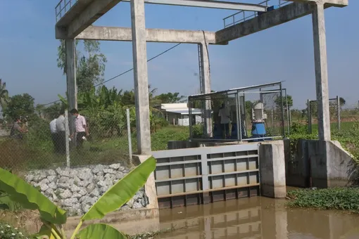 Chủ động ứng phó khô hạn, xâm nhập mặn
