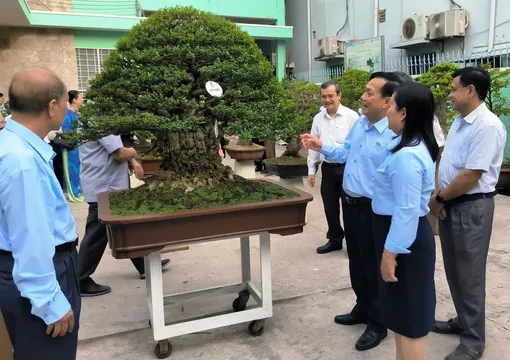 Hội thi Bonsai chào mừng 20 năm TP Cần Thơ trực thuộc Trung ương