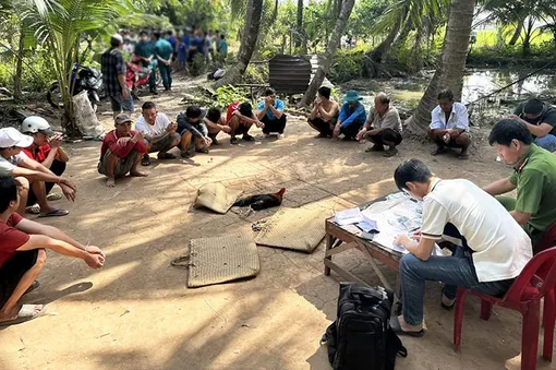 An Giang: Triệt phá tụ điểm đá gà ăn tiền, bắt giữ 13 đối tượng