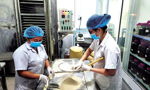 Rà soát, xử lý văn bản quy phạm pháp luật, pháp chế, hỗ trợ pháp lý cho doanh nghiệp