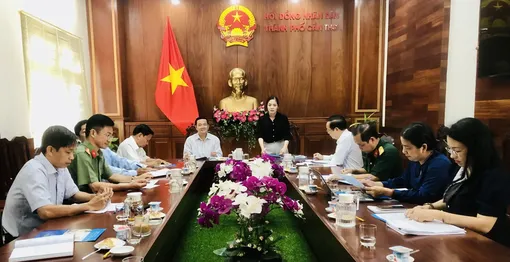 Tổ chức 4 cuộc giám sát, làm việc với 31 lượt cơ quan, đơn vị