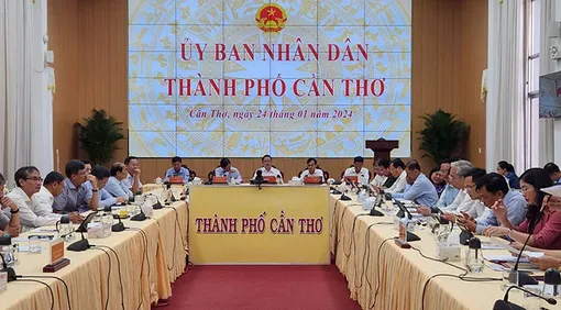 Nêu cao tinh thần trách nhiệm, vừa phát triển kinh tế vừa đảm bảo các điều kiện cho nhân dân vui xuân đón Tết